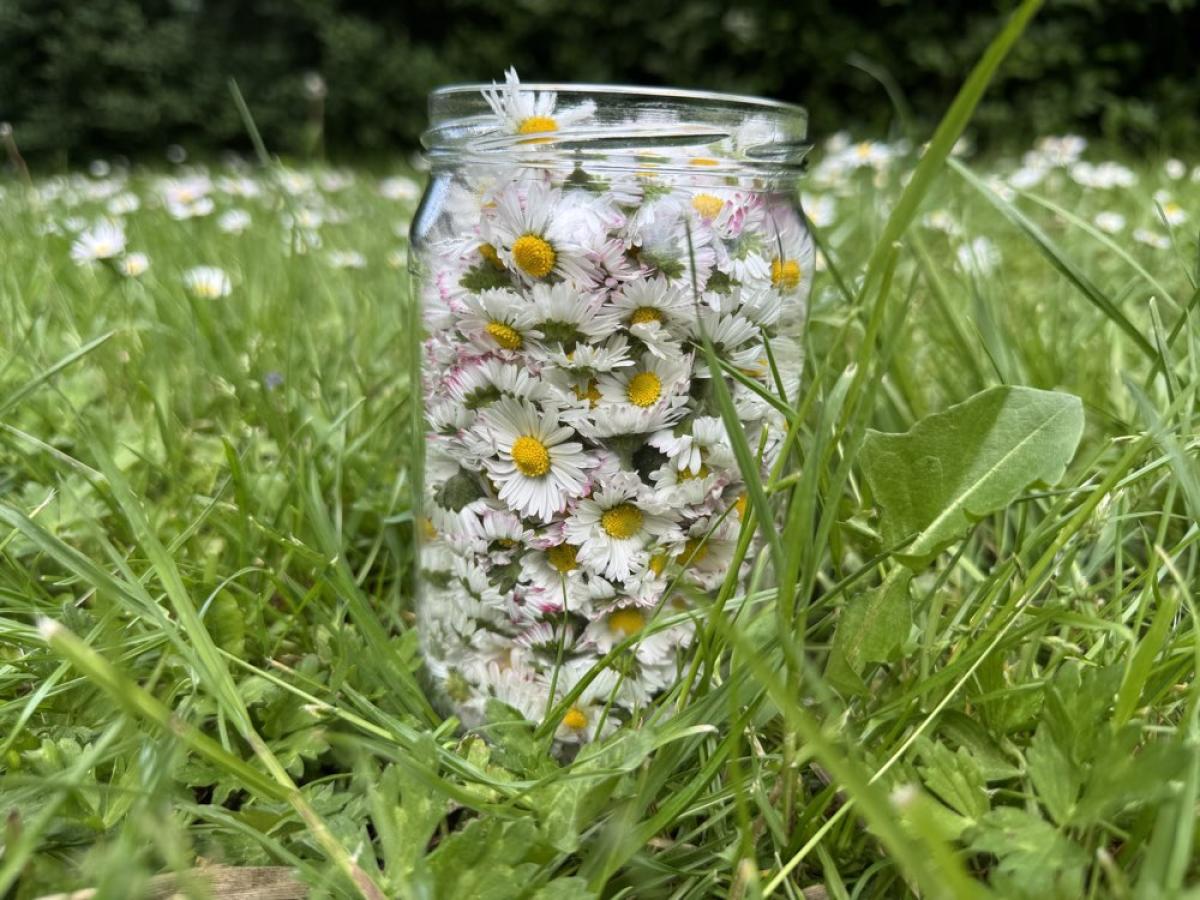 Acupunctuur en shiatsutherapie in Beneden-Leeuwen – Praktijk de Libelle