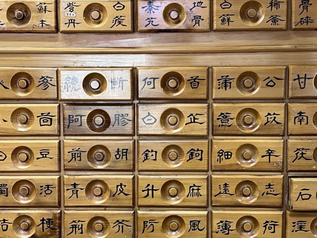 Acupunctuur behandeling Beneden-Leeuwen – Praktijk de Libelle