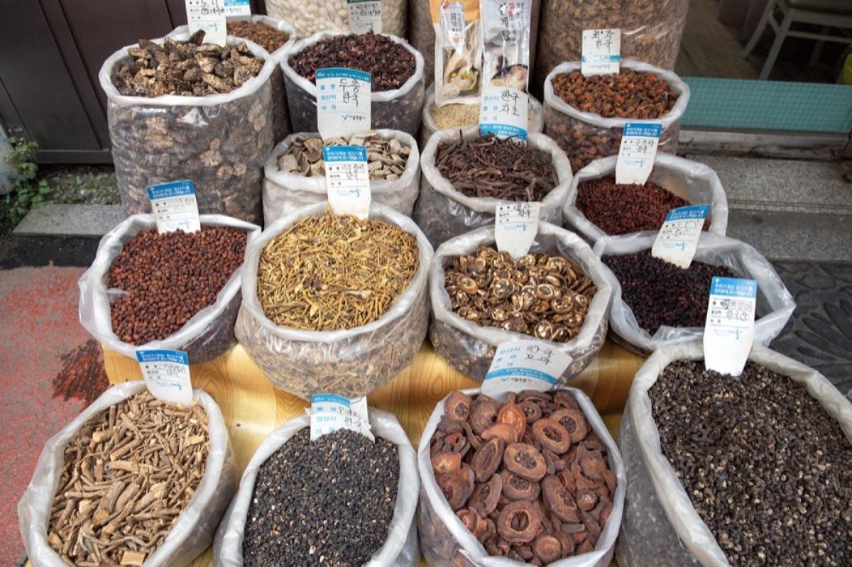 Acupunctuur behandeling Beneden-Leeuwen – Praktijk de Libelle